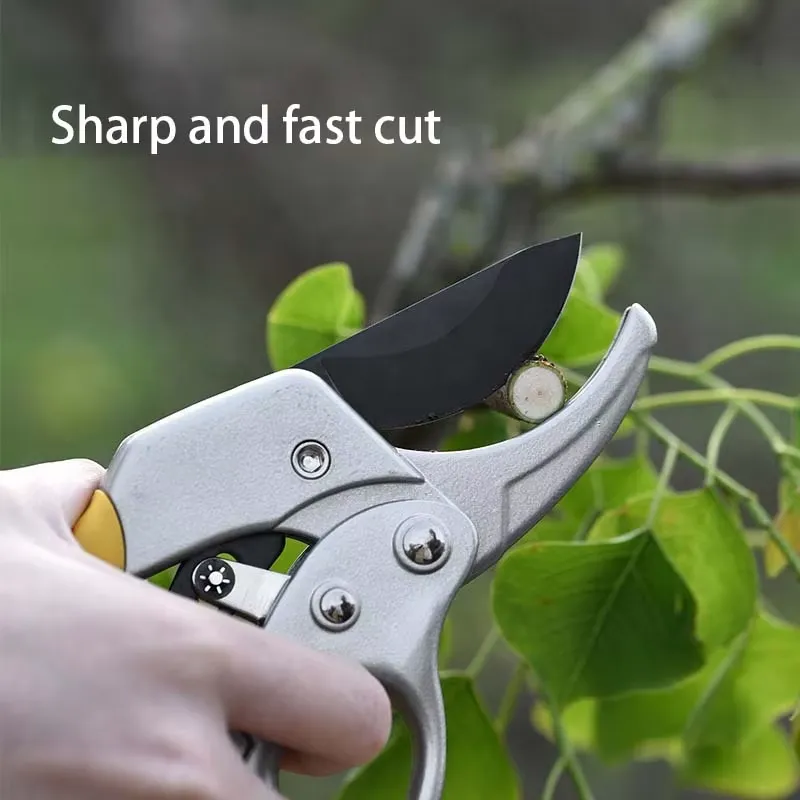 EE1 voor populaire snoeischaar - Pruning Shears recensie en prijs