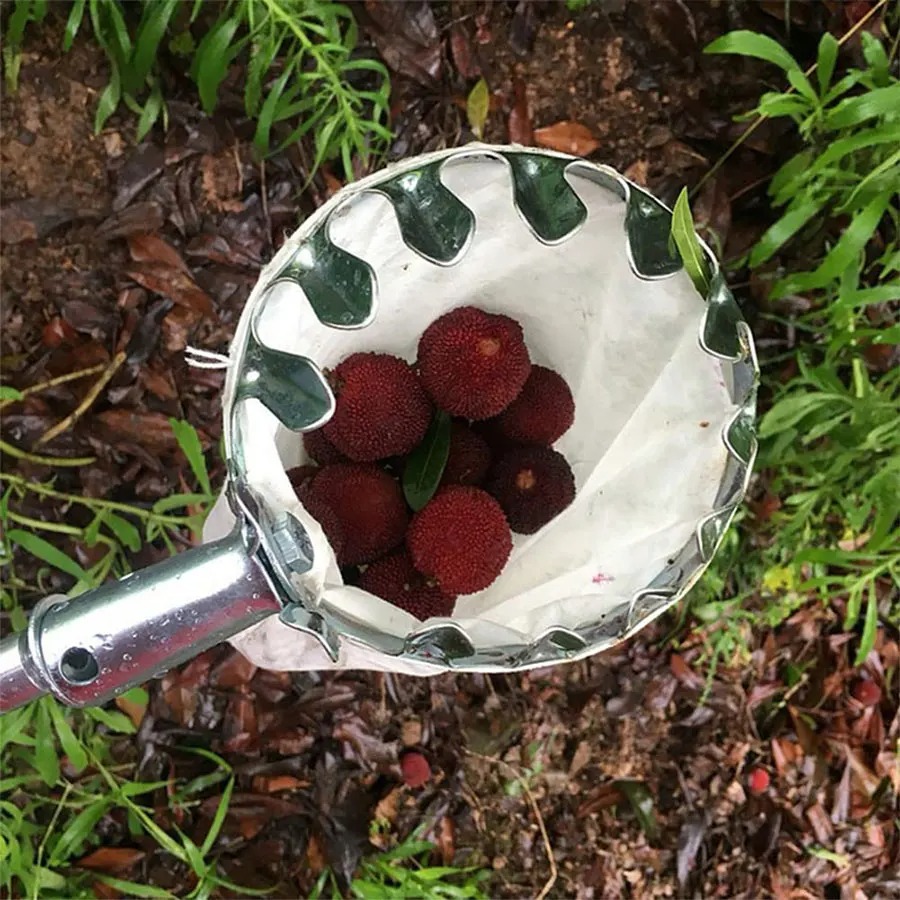 3-in-1 fruitplukset voor het p - Gardening Tools Bag recensie en prijs