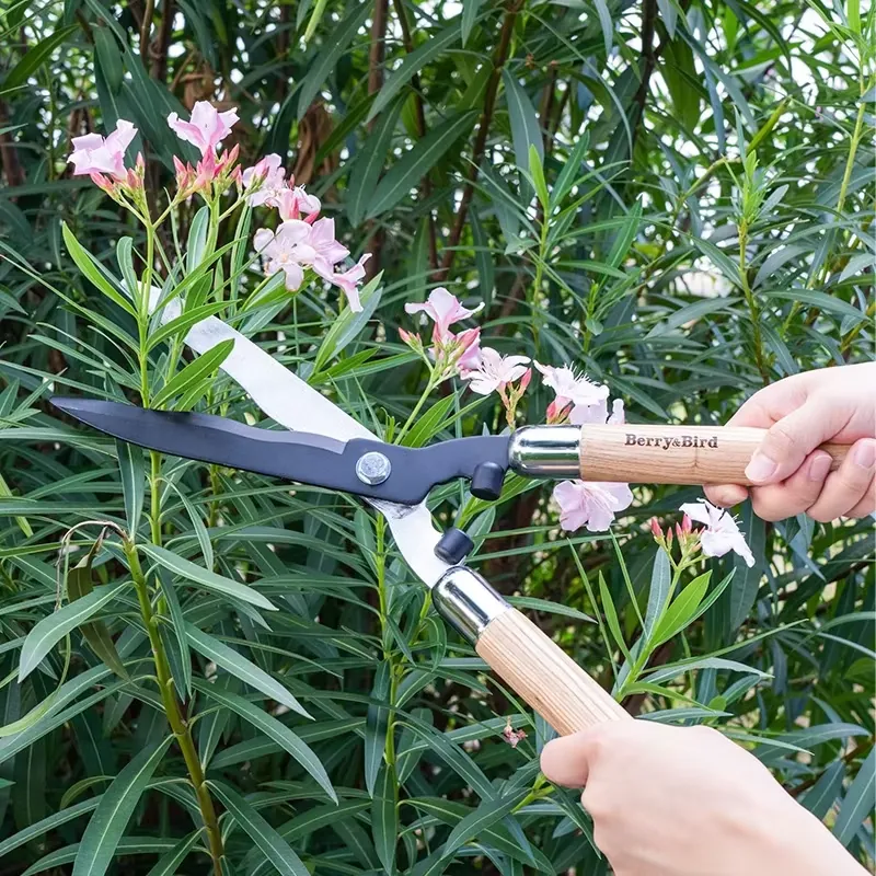 Draagbare snoeischaar van hoog - Gardening Tools Wooden recensie en prijs