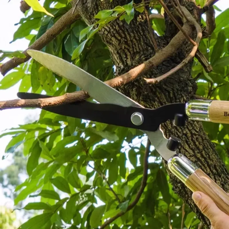 Draagbare snoeischaar van hoog - Gardening Tools Wooden recensie en prijs