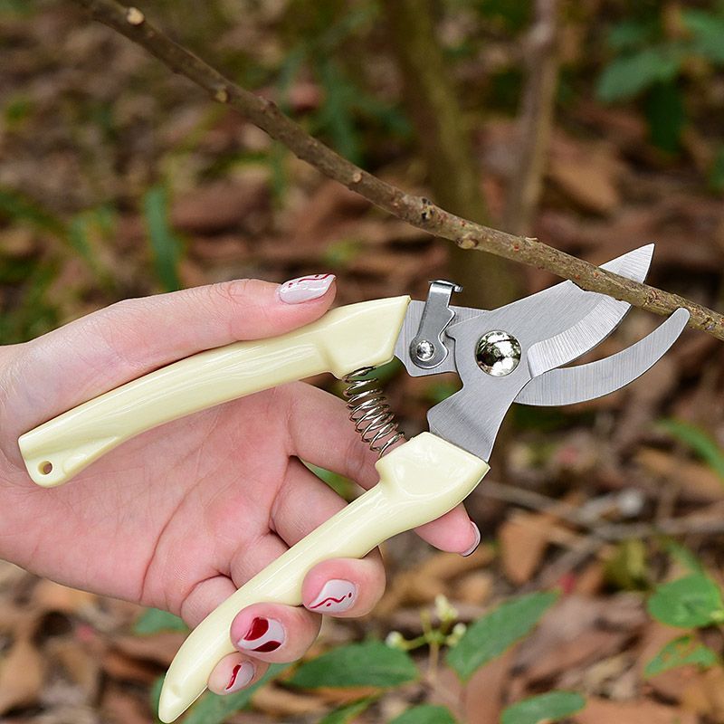 Arbeidsbesparende tuinsnoeisch - Pruning Shears recensie en prijs