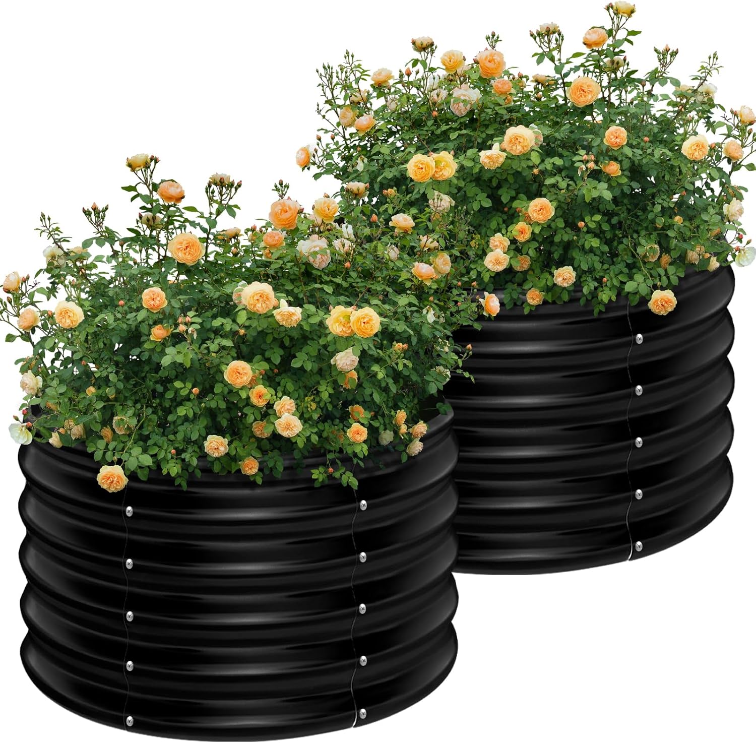 2-pack 2x2x1,5ft ronde gegalva - Raised Bed Planter Box recensie en prijs
