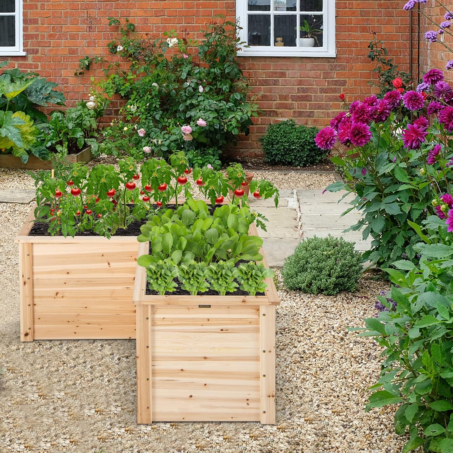 Verhoogd houten plantenbak, 47 - Raised Bed Planter Box recensie en prijs