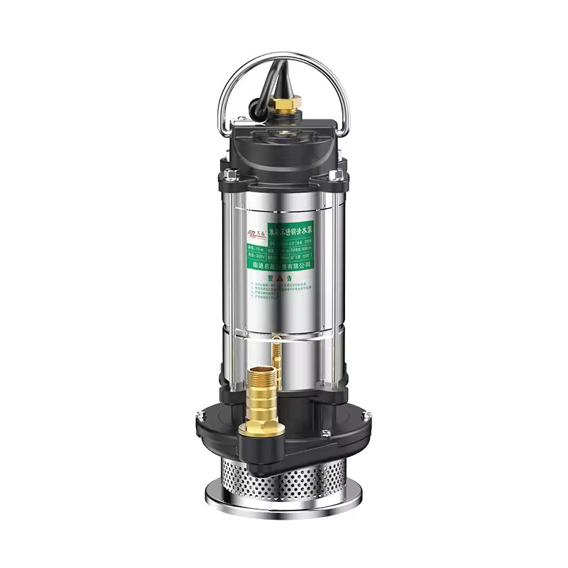 Rvs Dompelpomp 220V Agrarisch  - Gardening Tools China recensie en prijs