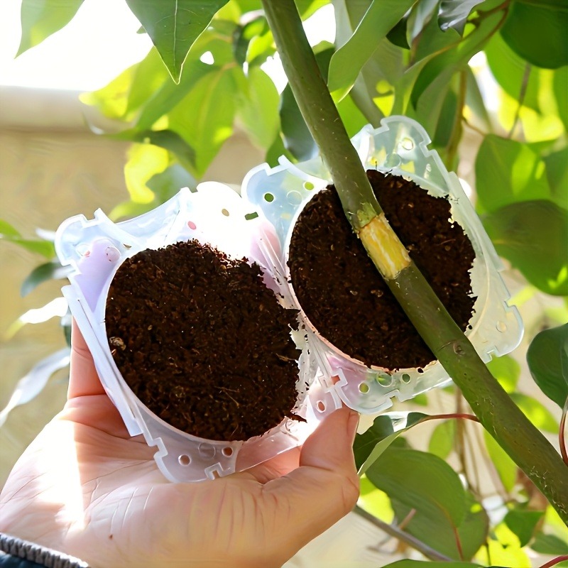 10-delige hogedruk plantenwort - Gardening Tools Cutter recensie en prijs